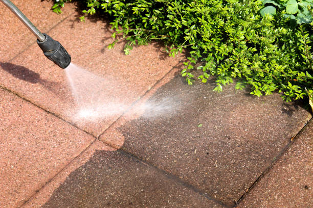 Best Pressure Washing Services Near Me  in USA